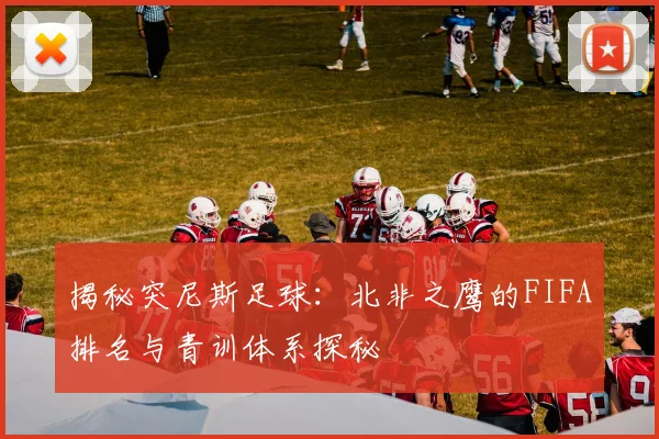 揭秘突尼斯足球：北非之鹰的FIFA排名与青训体系探秘