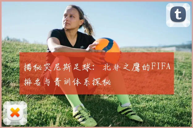 揭秘突尼斯足球：北非之鹰的FIFA排名与青训体系探秘